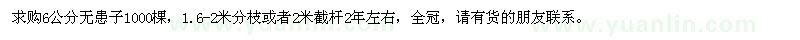 求購6公分無患子1000棵