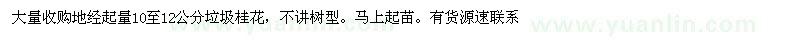 求購地經(jīng)起量10至12公分垃圾桂花