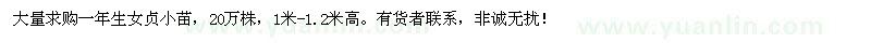 求購金葉女貞一年生苗
