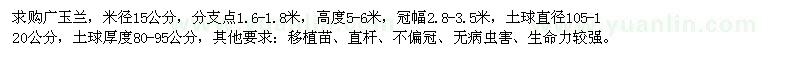求購米徑15公分的廣玉蘭
