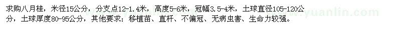 求購米徑15公分的八月桂