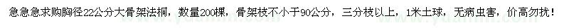 求購(gòu)胸徑22公分大骨架法桐200棵
