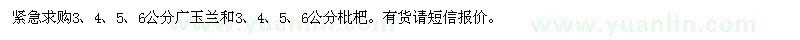 求購3,4,5,6公分廣玉蘭和枇杷