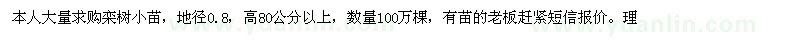 求購欒樹小苗地徑0.8