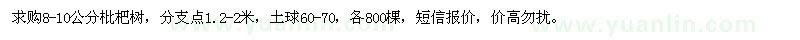 求購8-10公分枇杷樹 各800棵