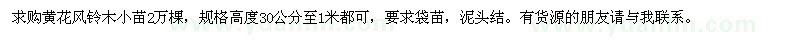求購黃花風鈴木小苗