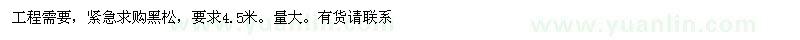 求購(gòu)4.5米黑松