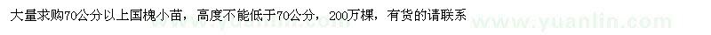求購國槐小苗