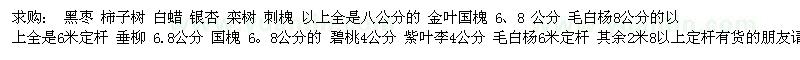 求購黑棗 柿子樹 白蠟 銀杏 欒樹 刺槐