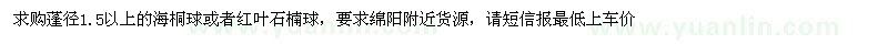 求購海桐球、紅葉石楠球