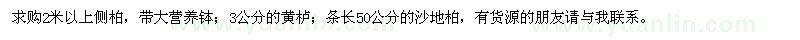 求購側(cè)柏、黃櫨、沙地柏