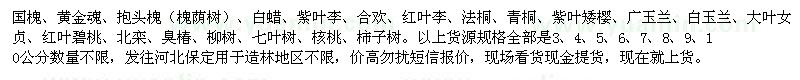 求購國槐、黃金魂、抱頭槐（槐蔭樹