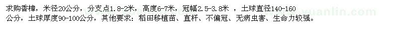 求購米徑20公分的香樟