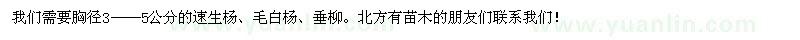 求購5cm胸徑速生楊,毛白楊,垂柳