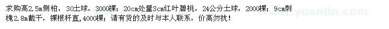 求購(gòu)側(cè)柏、紅葉碧桃、刺槐