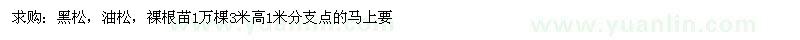 求購黑松