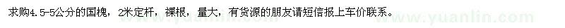 求購(gòu)4.5-5公分的國(guó)槐