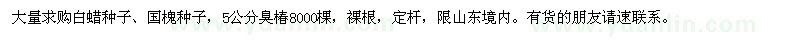求購白蠟種子,國槐種子,5公分臭椿