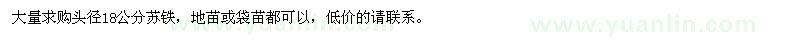 求購頭徑18公分蘇鐵