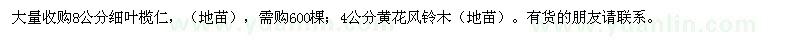 求購8公分細(xì)葉欖仁,4公分黃花風(fēng)鈴木