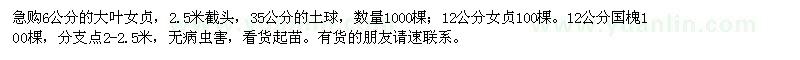 求購(gòu)6和12公分的大葉女貞,12公分國(guó)槐