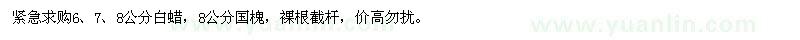 求購(gòu)白蠟,國(guó)槐