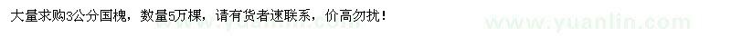 求購3公分國槐5萬棵