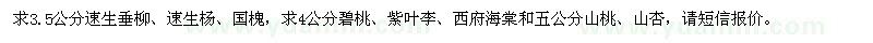 求購速生垂柳,速生楊,國(guó)槐,碧桃,紫葉李,西府海棠