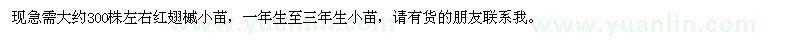 求購紅翅槭一年生至三年生小苗