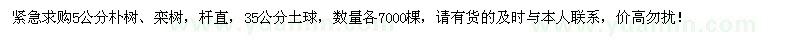 求購5公分樸樹、欒樹各7000棵，緊急！