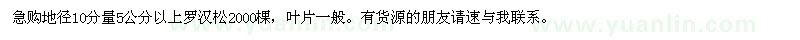 求購5公分以上羅漢松