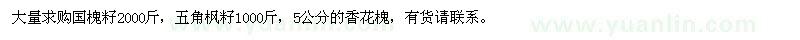 求購國槐籽,五角楓籽,5公分的香花槐