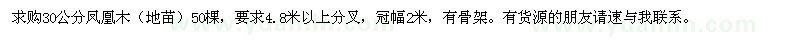 求購30公分鳳凰木