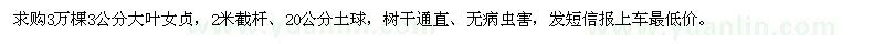 求購3公分大葉女貞