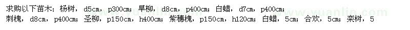 求購楊樹,旱柳,白蠟,合歡,欒樹,冬青球