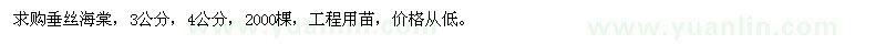 求購垂絲海棠
