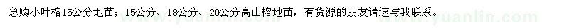 求購小葉榕,高山榕