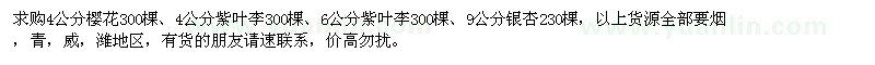 求購(gòu)櫻花,紫葉李,銀杏