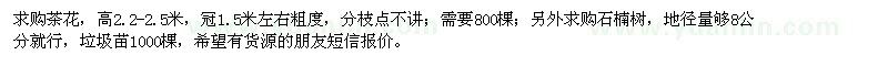 求購茶花,石楠樹