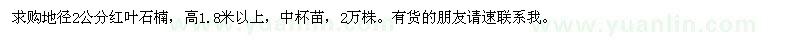 求購地徑2公分紅葉石楠