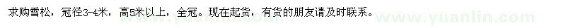 求購高5米以上的雪松