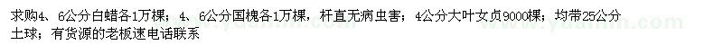 求購4、6公分白蠟、國槐各1萬棵 4公分大葉女貞9000棵