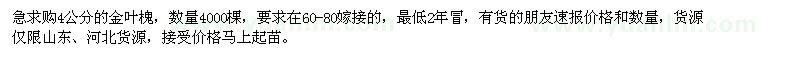 求購4公分金葉槐4000棵