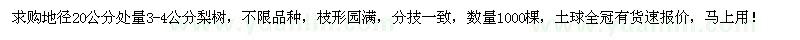 求購地徑20處量3-4公分梨樹1000棵