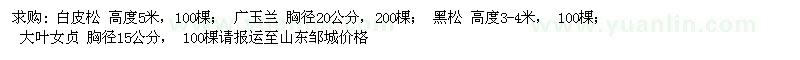 求購白皮松、廣玉蘭、黑松、大葉女貞