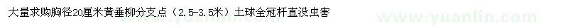 求購(gòu)胸徑20厘米黃垂柳