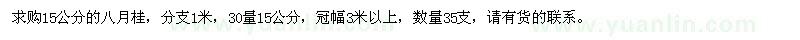 求購(gòu)15公分八月桂