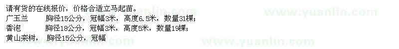 求購(gòu)廣玉蘭、香泡、黃山欒樹(shù)