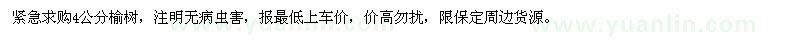求購4公分榆樹-2萬棵