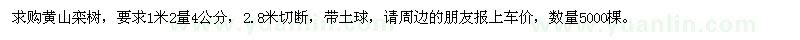 求購4公分黃山欒樹